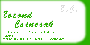 botond csincsak business card